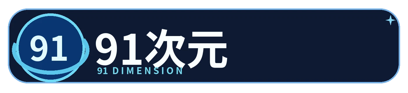 91次元标识